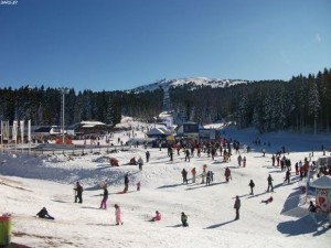 Kopaonik