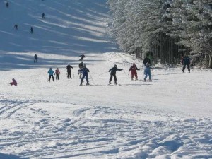 tornik zlatibor