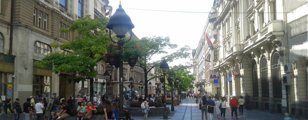 Knez