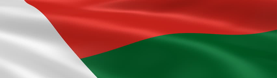 Vize za Madagaskar