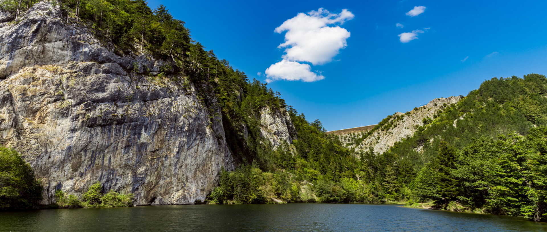 Prevoz do Tare, vozilo do Tare, Tara planina