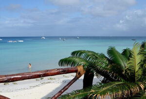 Tropske destinacije, Zanzibar, Amaan bungalows, the beach, daleke destinacije