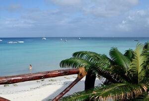 Tropske destinacije, Zanzibar, Amman bungalows, the beach, daleke destinacije