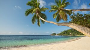 Sejšeli putovanja, Kempinski Seychelles Resort, palme na plaži