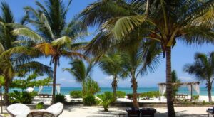 Tropske destinacije, Zanzibar, Nest paradise, the beach, daleke destinacije