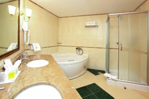 Hotel Izvor-Aranđelovac-Jumbo Travel-apartman kupatilo