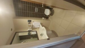 Hotel Azure By Yelken-Bodrum-Jumbo Travel-bathroom