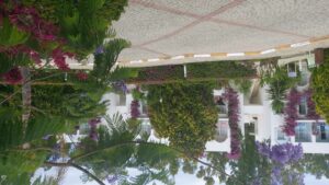 Hotel Kadikale Resort-Bodrum-Jumbo Travel-garden view